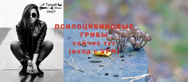 ешки Волосово