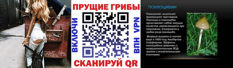 Галлюциногенные грибы прущие грибы  купить наркотик  Инза 